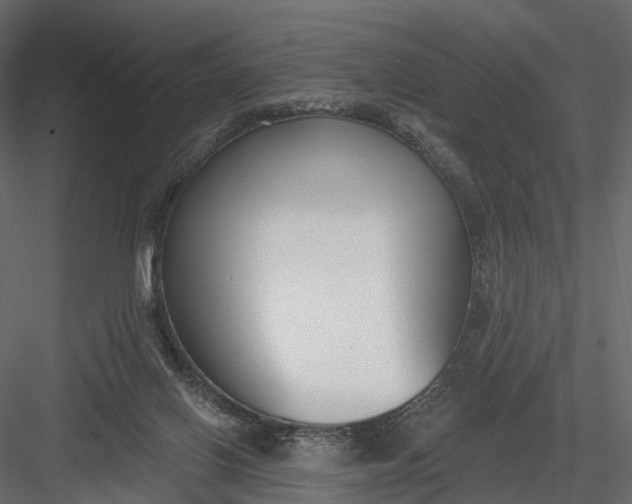 X0000083530070200702240029