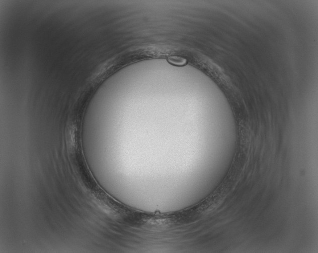 X0000083530071200702240029