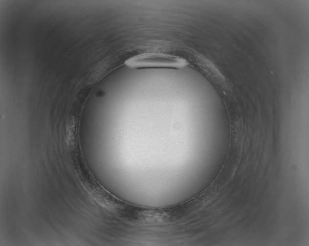 X0000083530073200702240029