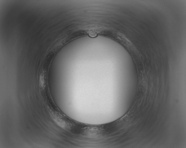 X0000083530074200702240029