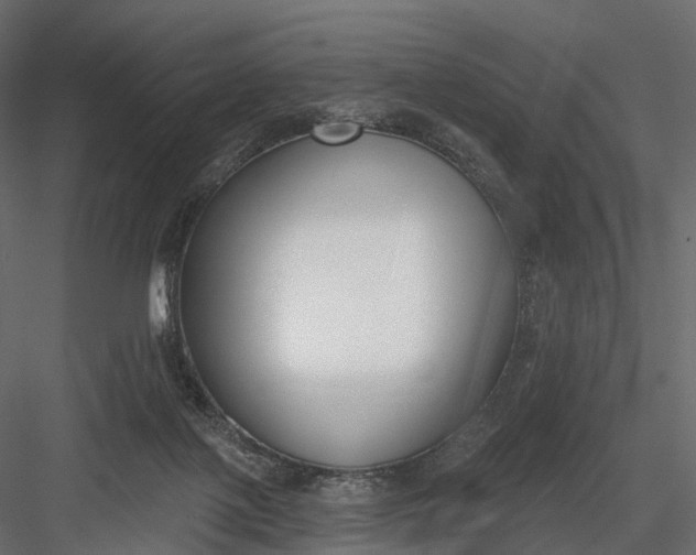 X0000083530075200702240029