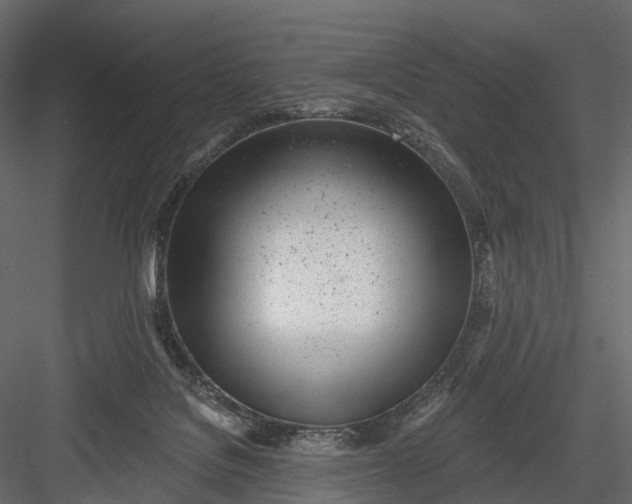 X0000083530076200702240029