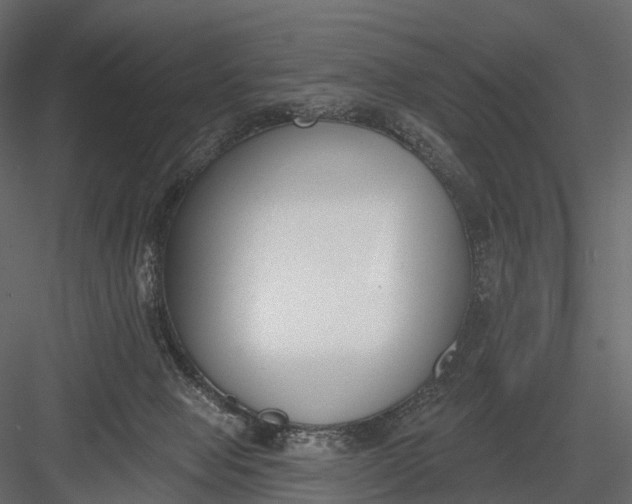 X0000083530077200702240029