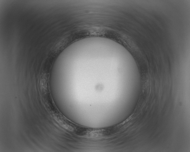 X0000083530078200702240029