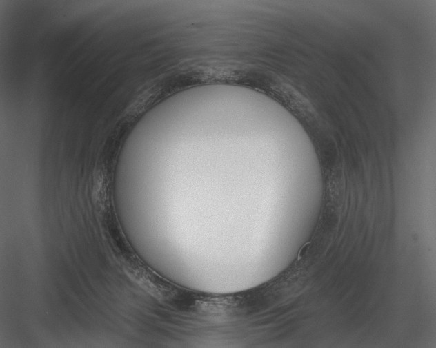 X0000083530079200702240029