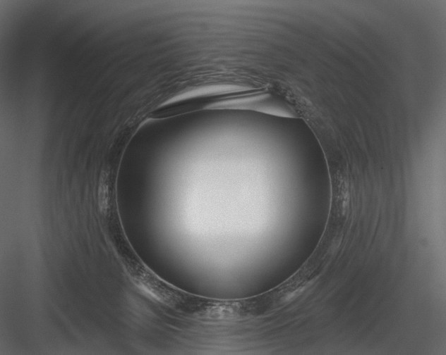 X0000083530080200702240029