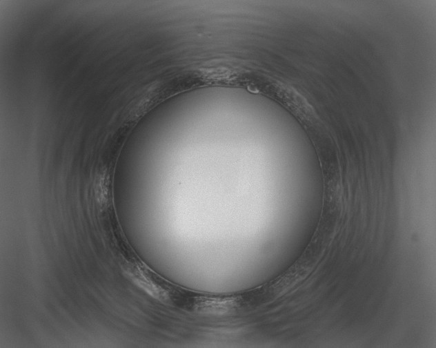 X0000083530081200702240029