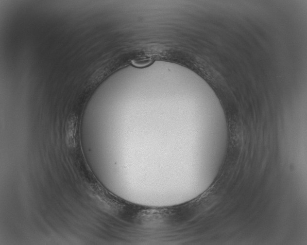 X0000083530082200702240029