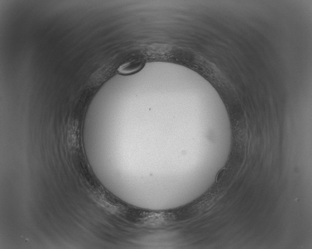 X0000083530083200702240029