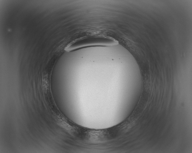 X0000083530085200702240029