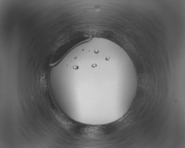 X0000083530086200702240029