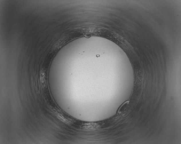 X0000083530087200702240029