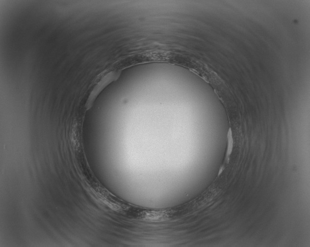 X0000083530088200702240029