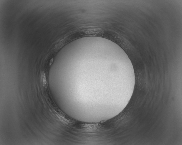 X0000083530089200702240029