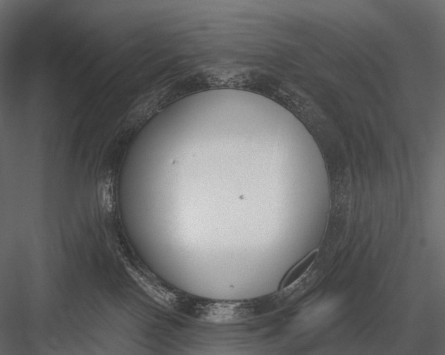 X0000083530090200702240029