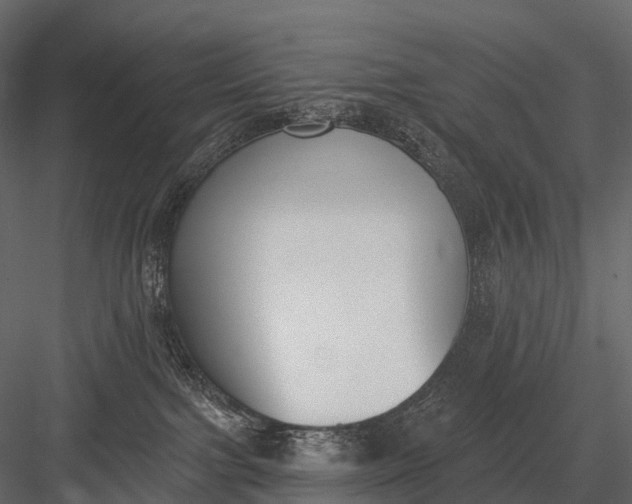 X0000083530091200702240029