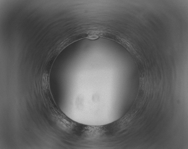 X0000083530093200702240030