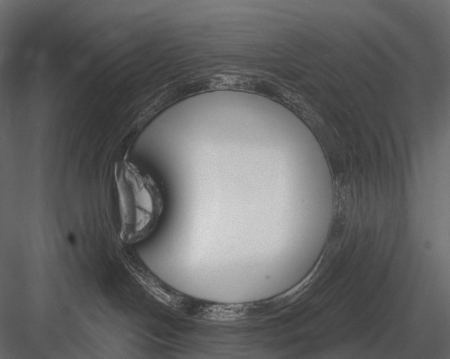 X0000083530094200702240030