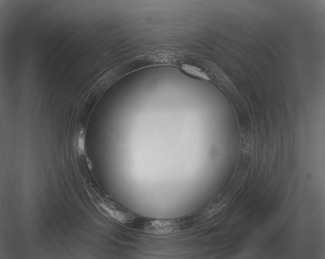 X0000083530095200702240030