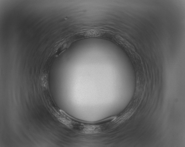 X0000083530096200702240030