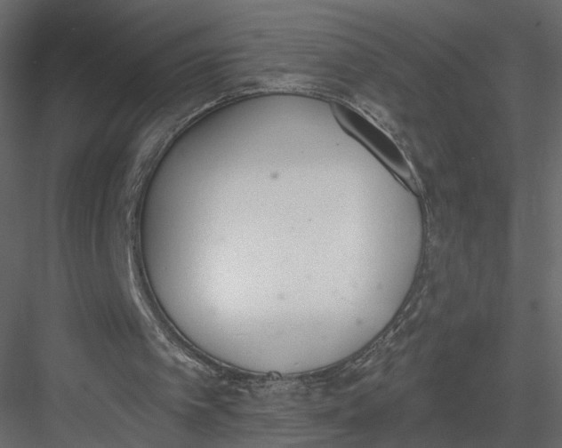 X0000083530097200702240029