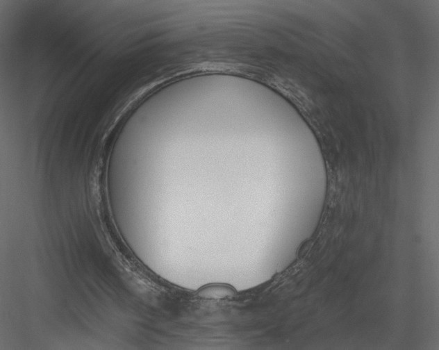 X0000083530098200702240029