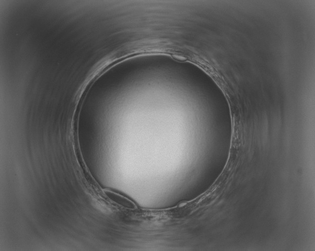 X0000083530099200702240029