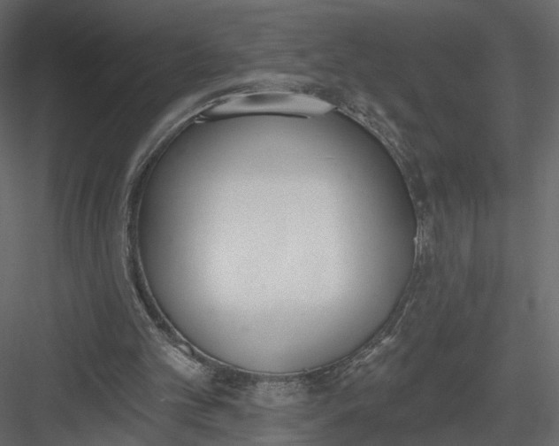 X0000083530101200702240029