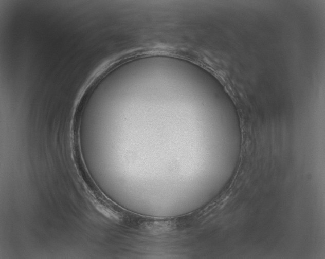 X0000083530102200702240029