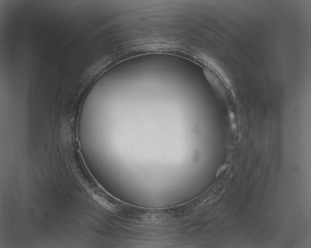 X0000083530105200702240029