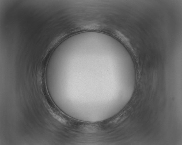 X0000083530106200702240029