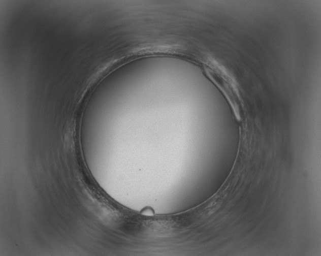 X0000083530107200702240029