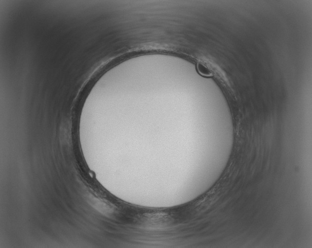 X0000083530108200702240029