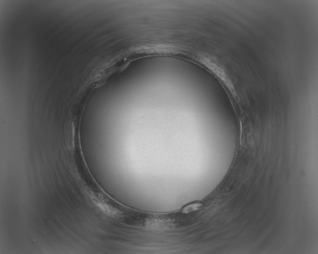 X0000083530109200702240029