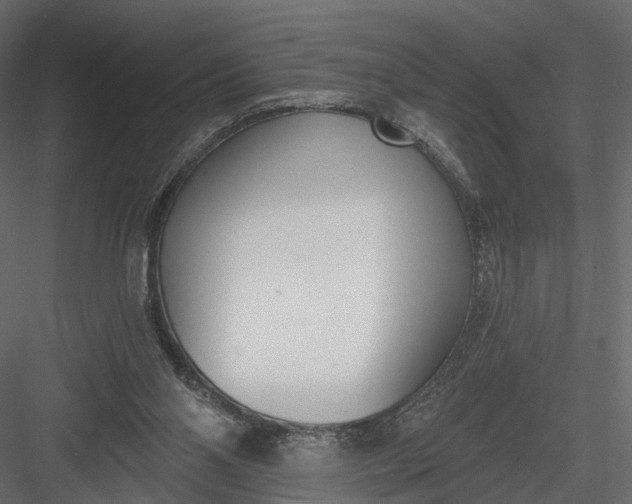 X0000083530110200702240029