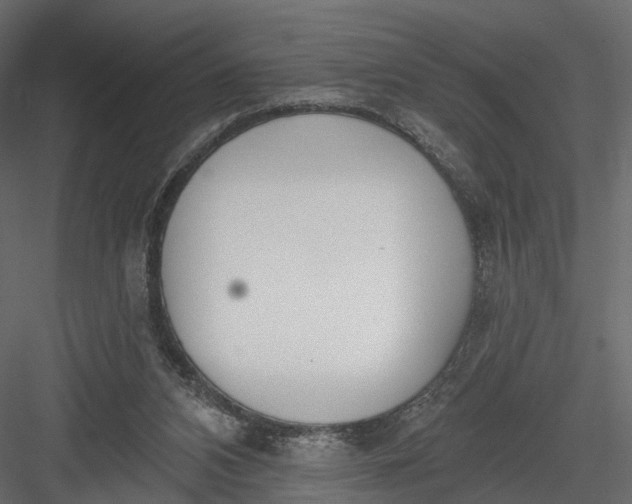 X0000083530112200702240028