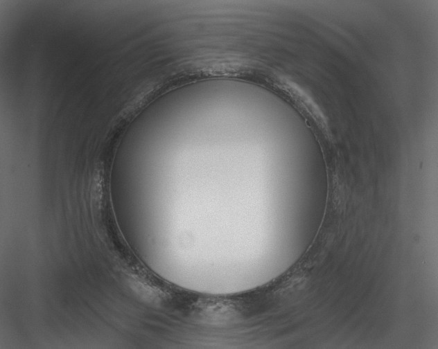 X0000083530113200702240028