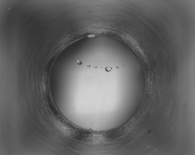 X0000083530114200702240028