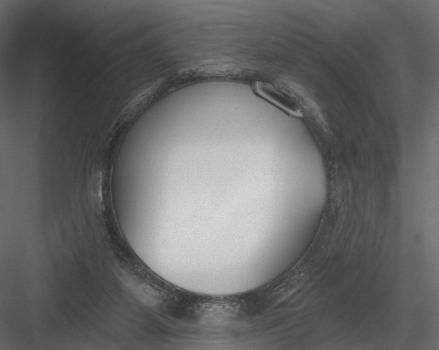 X0000083530115200702240028