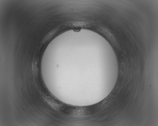 X0000083530116200702240028