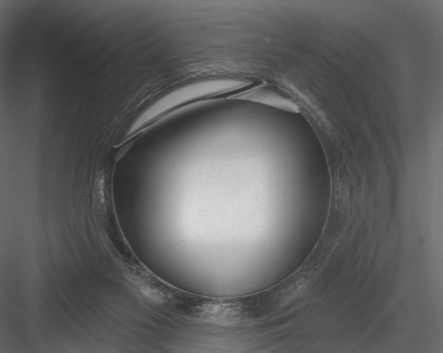 X0000083530117200702240028