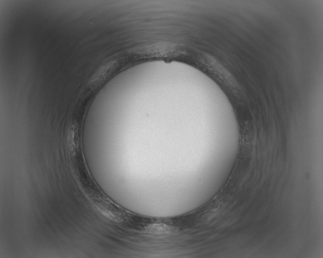 X0000083530119200702240028