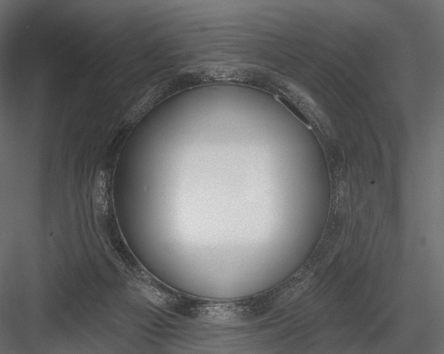 X0000083530121200702240028