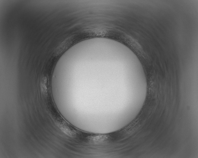 X0000083530122200702240028