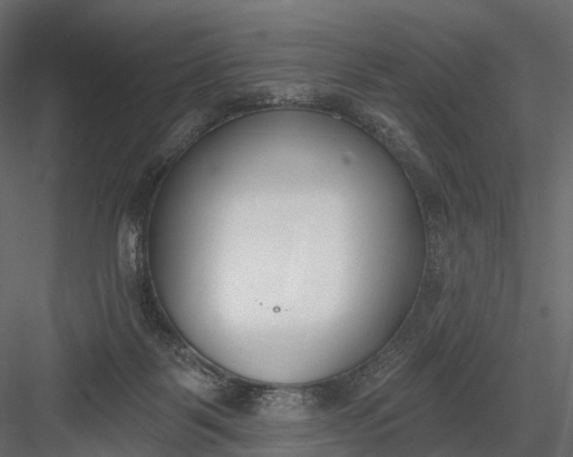 X0000083530123200702240028