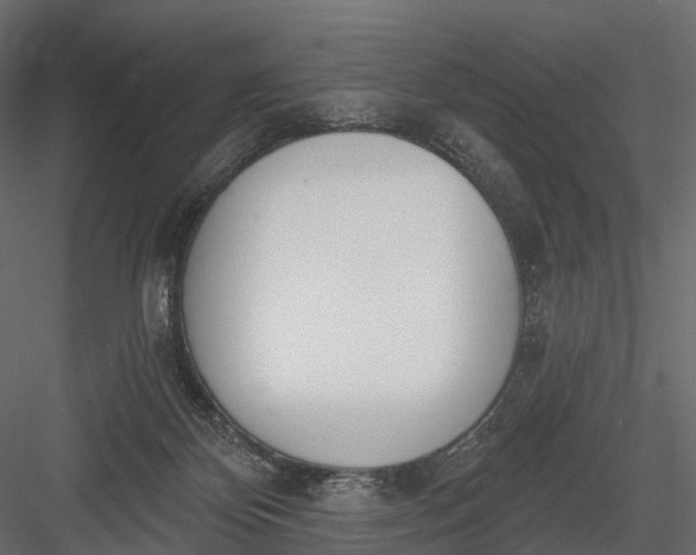 X0000083530124200702240028