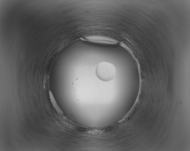 X0000083530125200702240028