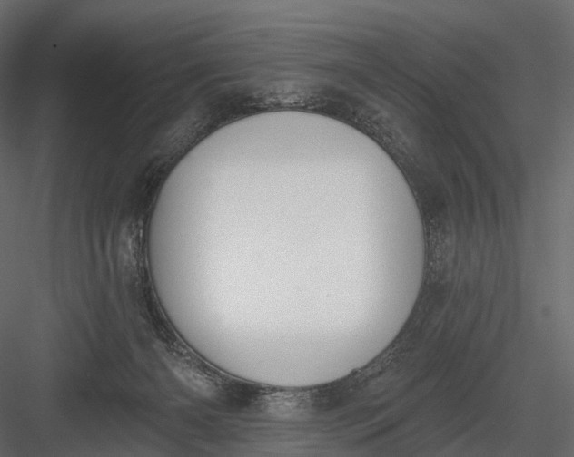 X0000083530126200702240028