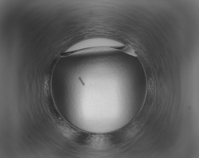 X0000083530127200702240028