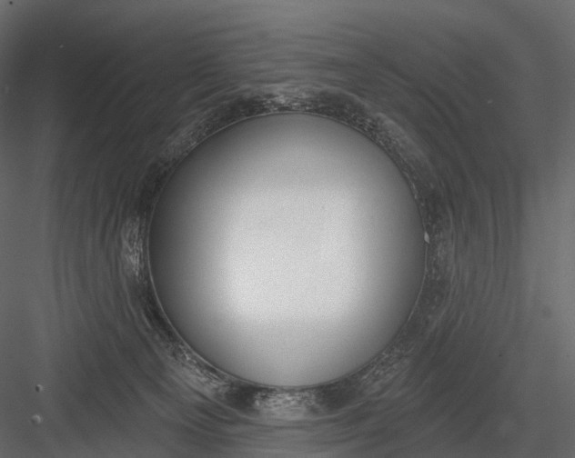 X0000083530129200702240028